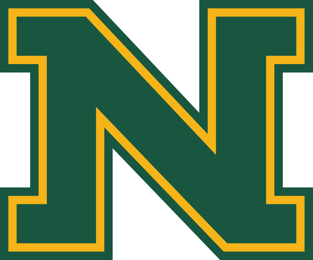 Northern Michigan Wildcats 2016-Pres Alternate Logo iron on transfers for T-shirts